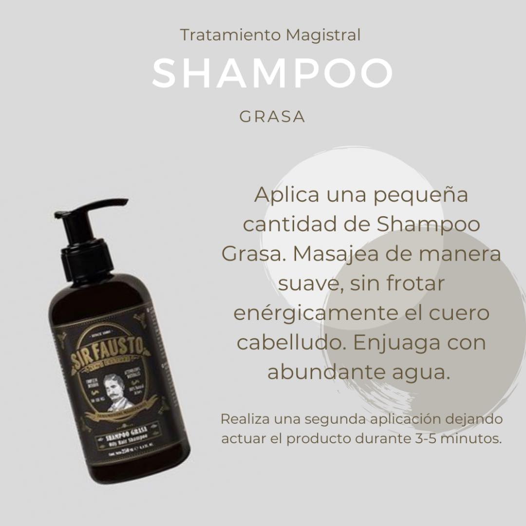 Champú para Cabello Graso Línea Magistral SIR FAUSTO - Imagen 3