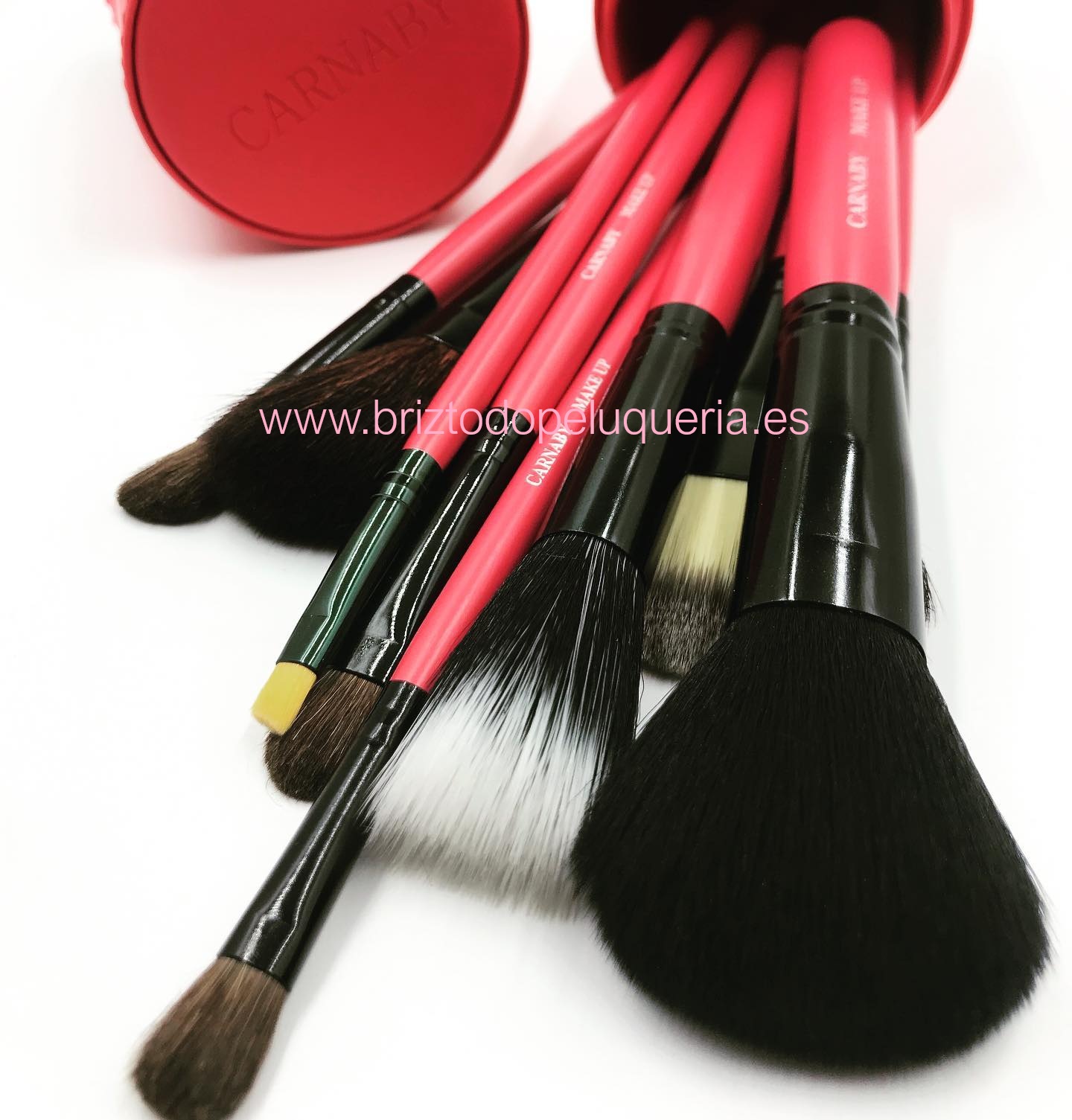 Cubilete 12 Pinceles Boar Line Carnaby